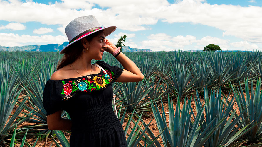 Turismo en México